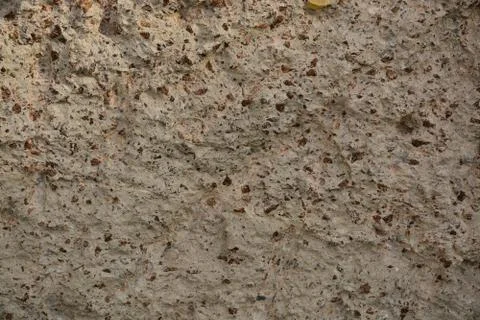 Texture Stock Photos