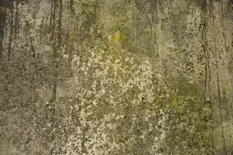 Texture Stock Photos