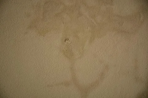 Texture Stock Photos