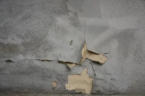 Texture Stock Photos