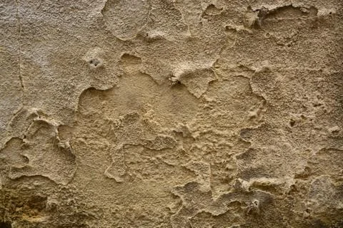 Texture Stock Photos