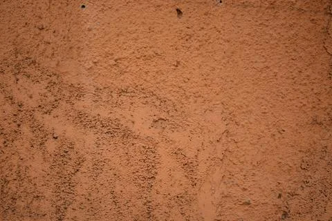 Texture Stock Photos