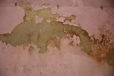 Texture Stock Photos