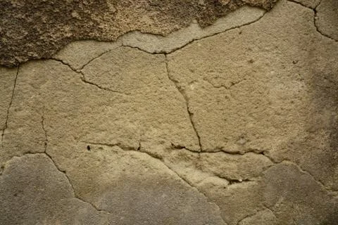 Texture Stock Photos