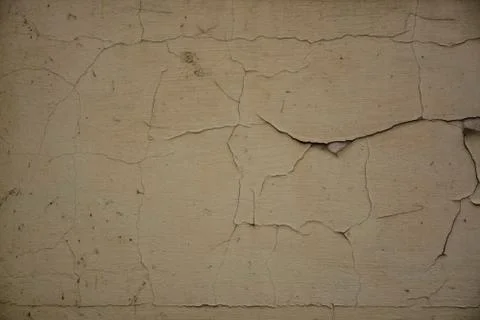 Texture Stock Photos