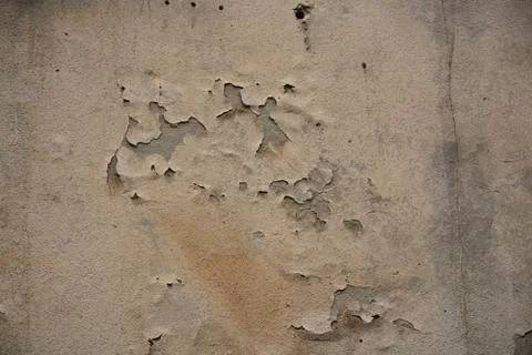 Texture Stock Photos