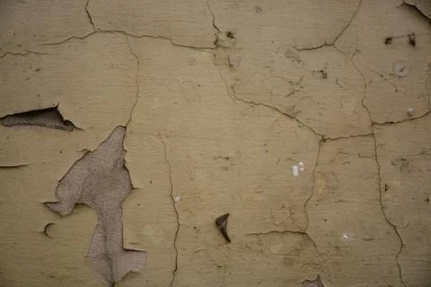 Texture Stock Photos