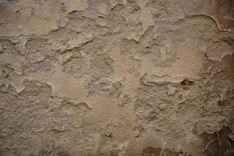 Texture Stock Photos