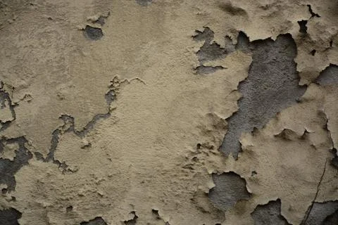 Texture Stock Photos