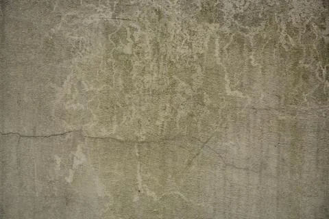 Texture Stock Photos