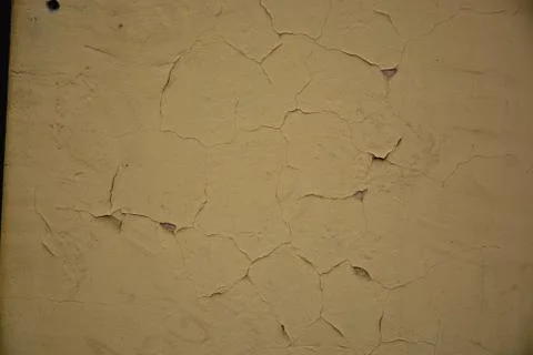 Texture Stock Photos