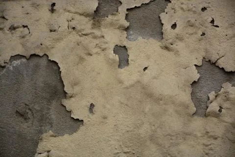 Texture Stock Photos