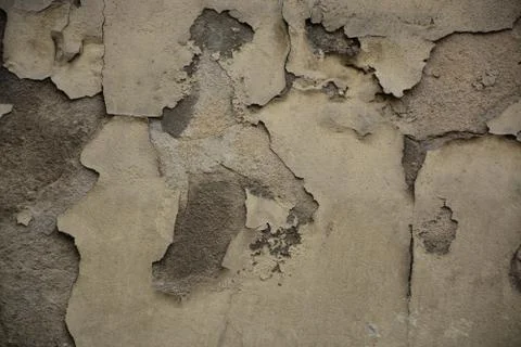 Texture Stock Photos