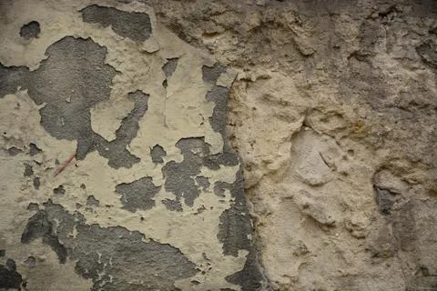 Texture Stock Photos