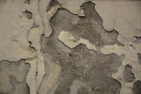 Texture Stock Photos