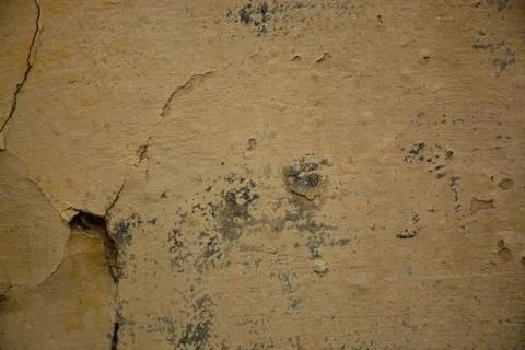 Texture Stock Photos