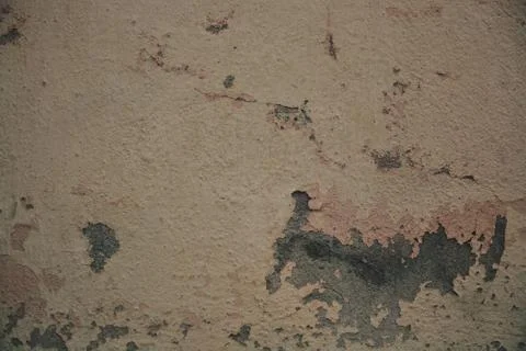 Texture Stock Photos