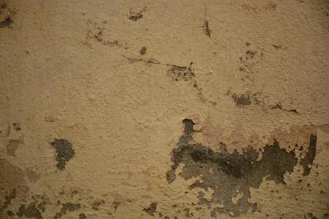 Texture Stock Photos