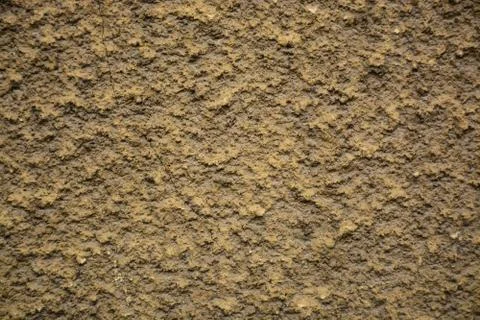 Texture Stock Photos