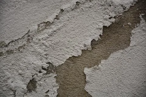 Texture Stock Photos