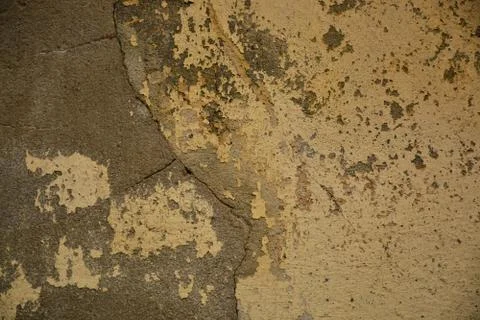 Texture Stock Photos