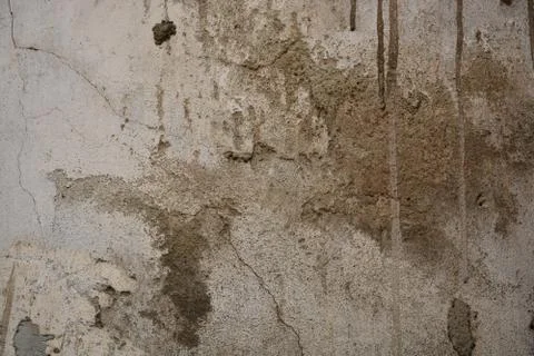 Texture Stock Photos