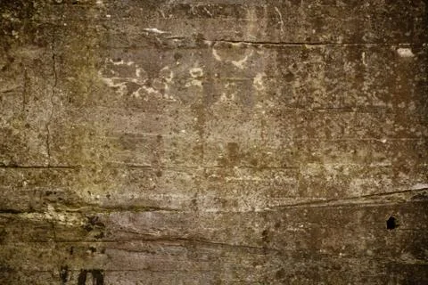 Texture Stock Photos