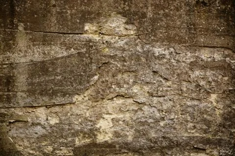 Texture Stock Photos