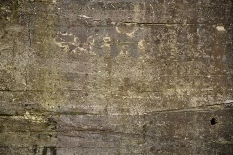 Texture Stock Photos