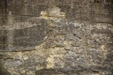 Texture Stock Photos