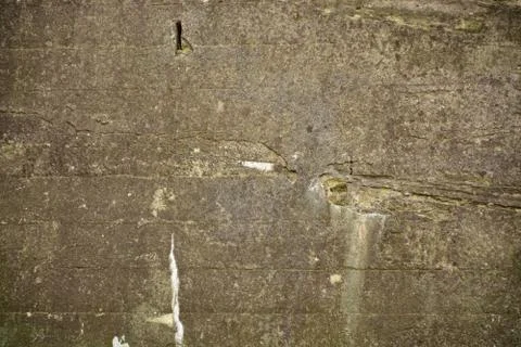 Texture Stock Photos