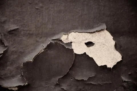 Texture Stock Photos