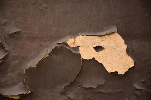 Texture Stock Photos