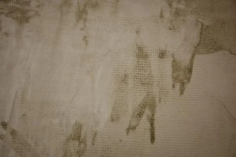 Texture Stock Photos