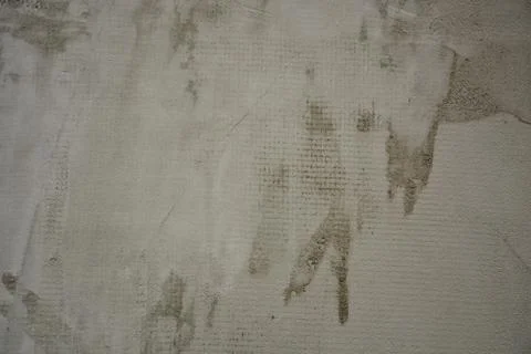 Texture Stock Photos