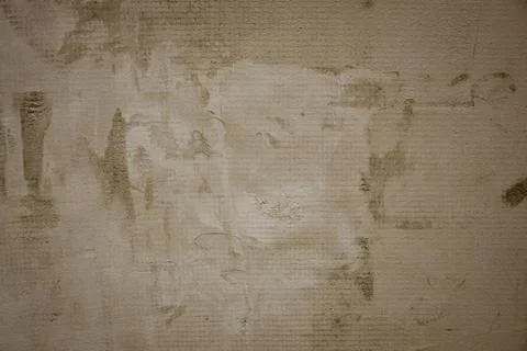 Texture Stock Photos