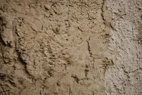 Texture Stock Photos