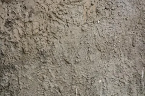 Texture Stock Photos