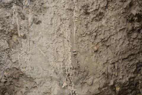 Texture Stock Photos