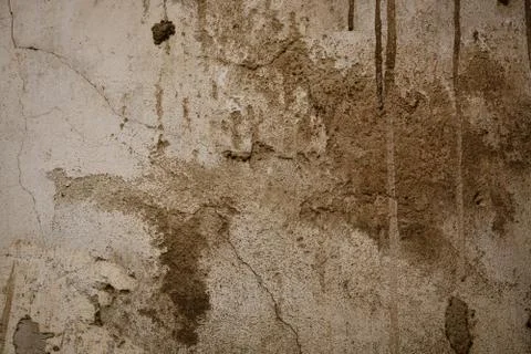 Texture Stock Photos