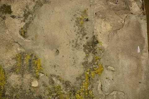 Texture Stock Photos