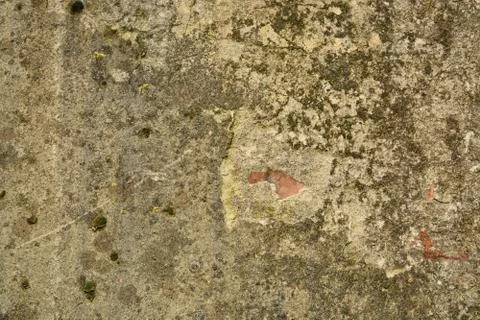 Texture Stock Photos