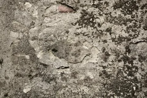 Texture Stock Photos