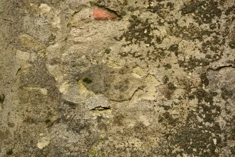 Texture Stock Photos