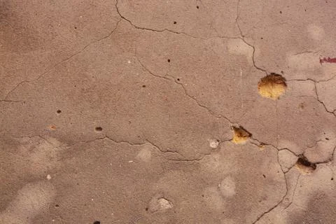 Texture Stock Photos