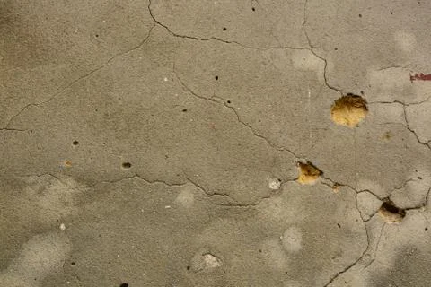 Texture Stock Photos