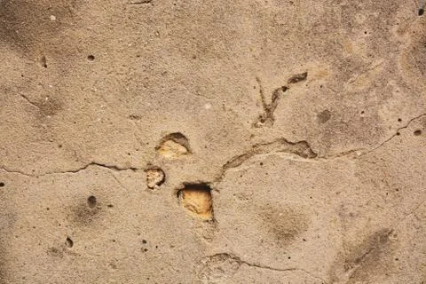 Texture Stock Photos