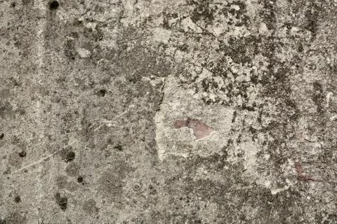 Texture Stock Photos