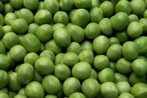 Texture Stock Photos