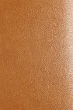 Texture Stock Photos